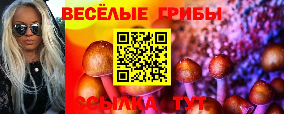 Новочебоксарск  Псилоцибиновые грибы ЛСД  Вход с VPN 