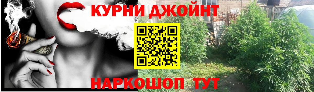 Шишки марихуана White Widow  Вход с VPN  Каннабис конопля  Новочебоксарск  Бошки Шишки AK-47  Конопля план 